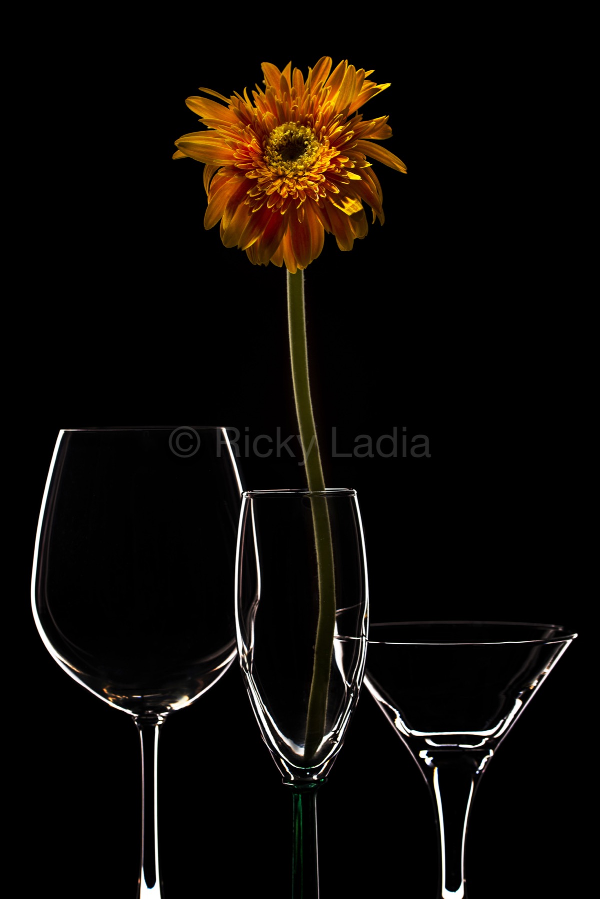 Wilted Flora 1 by Ricky Ladia