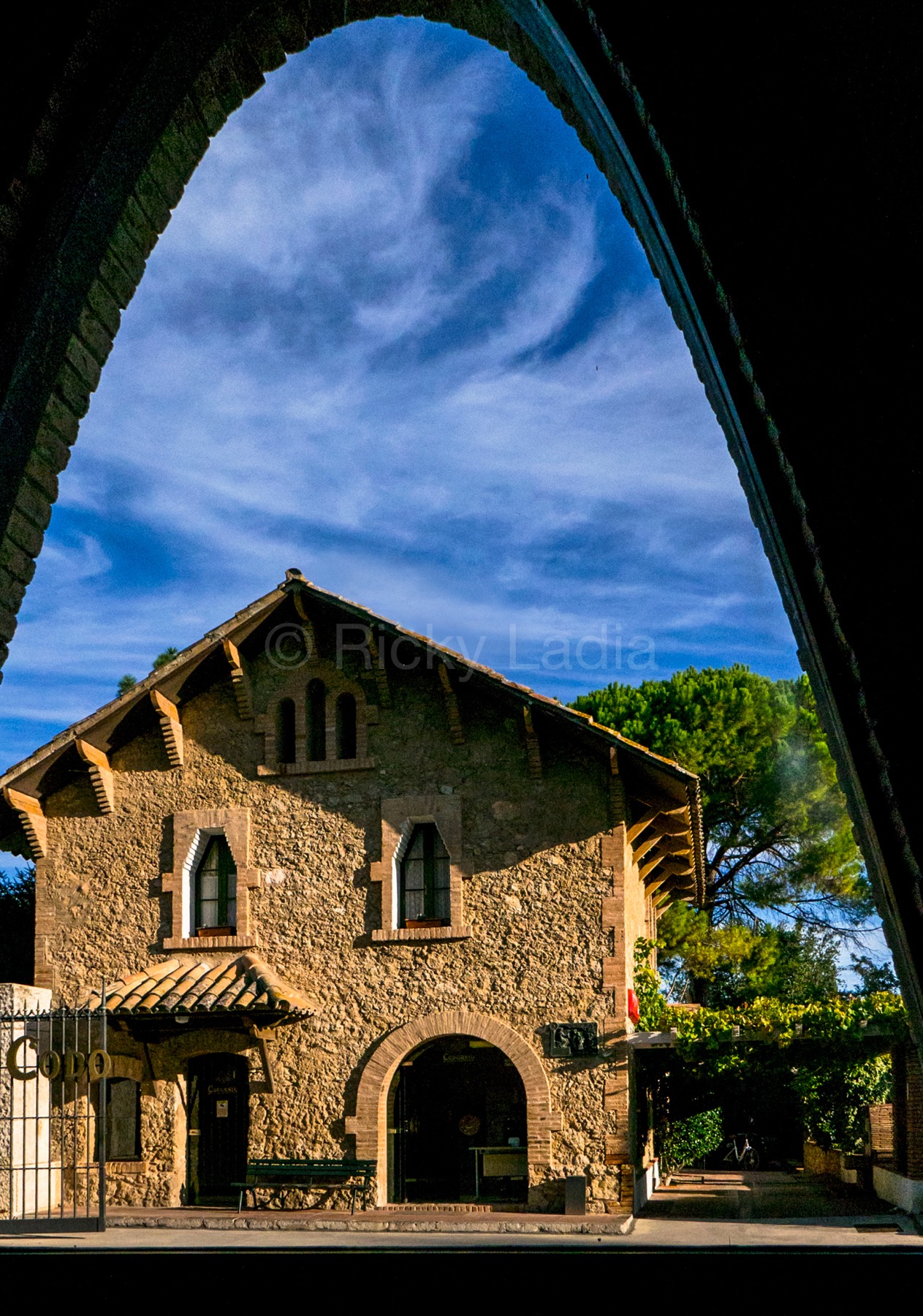 Codoniu Barcelona 2 by Ricky Ladia